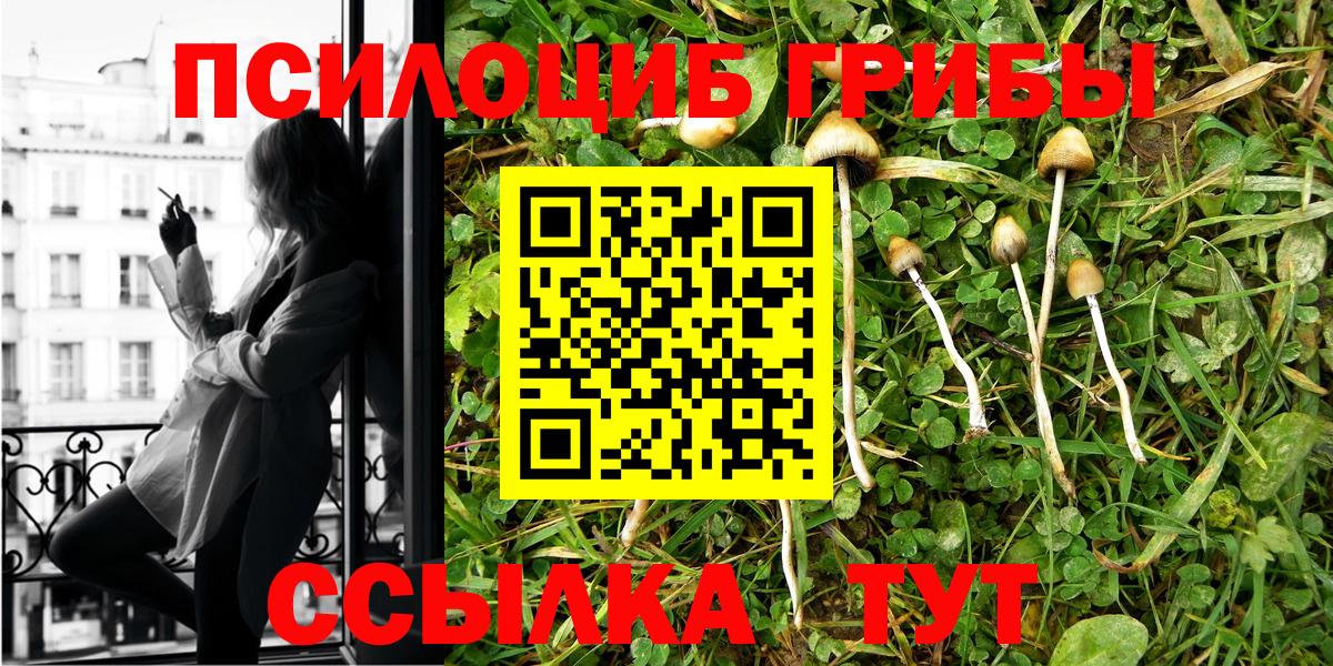 Нижнекамск  Галлюциногенные грибы прущие грибы  Галлюциногенные грибы мицелий  Вход с VPN 