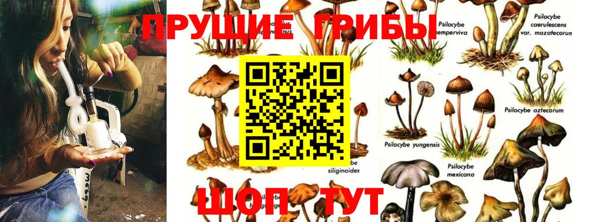 Галлюциногенные грибы ЛСД Нижнекамск
